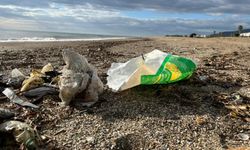 Anamur’da Çevreyi Kirletene 191 Bin TL’ye Kadar Ceza