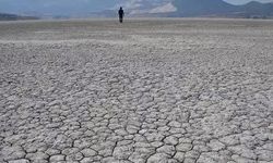 Anamur Çevre Platformu’ndan "Ekosistem Çöküşü" Uyarısı: "Size Söylemiştik!"