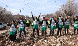 Mersin Ormanlarında Sürdürülebilirlik İçin Yoğun Çalışma