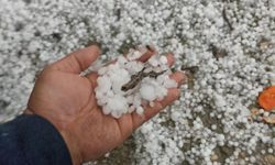 Başkan Gezer: "Üreticimizin Yüreği Burkuldu"