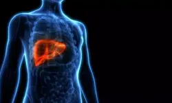 Hepatit B, Karaciğer Nakillerinin Başlıca Sebebi