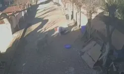 Sahibine Saldıran Koç İçin Uzmandan Yorum: ‘Koç Oyunu Abartmış’”