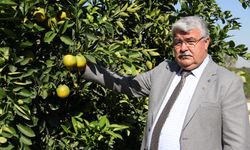 Başkan Yılmaz: "Acelesi Neydi De Bir Günde Böyle Bir Karar Verdi"