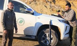 3 İlde Yaban Keçisi Avlayan 3 Kişiye 2 Milyon 894 Bin TL Ceza