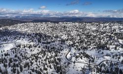 Mersin'de karla kaplanan ormanlık alandan kartpostallık görüntüler