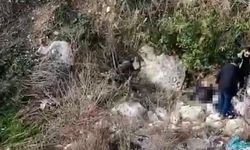 Kayıp Olarak Aranıyordu, Silifke'de Ölü Bulundu