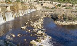Göksu Nehri’ni Siyaha Bürüyen Tesise 1 Milyon 337 Bin TL Ceza