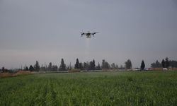 Mersin’de Dronlu Tarım Dönemi: Zayiat Yok, Verim Çok