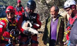 Mersin’de Yürekleri Isıtan Kurtarma: Kuzu Annesine Kavuştu