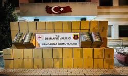 TIR'ın Dorsesinde 1 Milyon 600 Bin Adet Makaron Ele Geçirildi