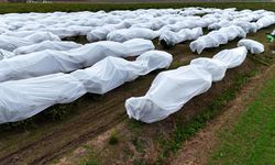 Zirai Dona Karşı File Kalkanı: Adana’da 15 Dönüm Limon Bahçesi Koruma Altında