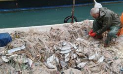Silifke’de Fırtına Felaketi: Balıklar Kıyıya Vurdu