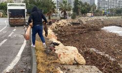 Sel sonrası deniz kahverengi oldu, sahiller odun doldu