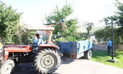 Akdeniz Belediyesi Parklarda Bakım ve Yenileme Çalışmalarını Sürdürüyor