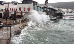 Tekne karaya vurdu, feribot seferleri iptal edildi