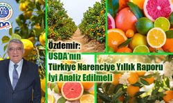 Başkan Özdemir’den Narenciye Raporu: "Modern Depolama ve Sanayi Hamlesi Şart"