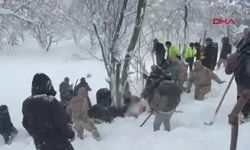 Van'da Çığ Düştü