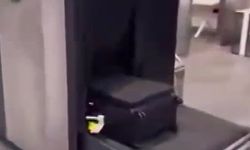 Çukurova Havalimanında 4.5 kilo uyuşturucu ele geçirildi, 1 gözaltı