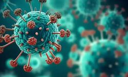 Küresel Isınma Enfeksiyon hastalıklarının Görülme Tarihlerini Etkiliyor