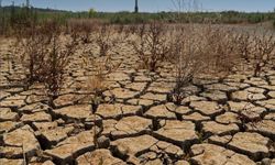 Yağışlar Yetersiz Kaldı, Barajlar Beslenemedi