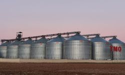 137 Bin Tonluk Buğday Vurgununda Depolar TMO’ya Devredildi