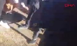 Sokak Düğününde Kurşun Davulcuya İsabet Etti