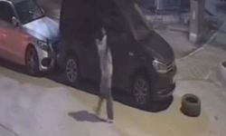 Kayıp Olarak Aranan Mihriban'ın Cesedi Ormanda Bulundu