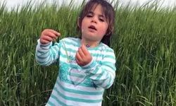 Leyla Aydemir Davasında AFAD Ekipleri Mahkemede İfade Verecek