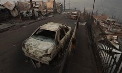 Orman Yangınında 18 Kişi Hayatını Kaybetti