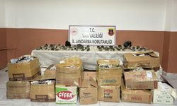 3 Milyon 336 Bin TL Gümrük Kaçağı Eşya ve Kuvars Taşı Ele Geçirildi