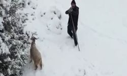 Kar Manzarası Çekerken Dronuna Tüfek Doğrultuldu