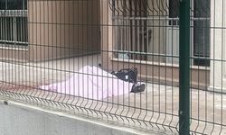 Ev Kiralamak İçin Gittiği Binanın 17'nci Katından Kendini Attı