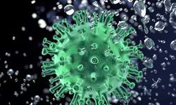 Uzmanından Uyarı: Nipah Virüsü'nün Aşı veya Tedavisi Yok