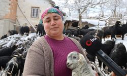 Karla Kaplı Yaylada Emek: Feke’de Kadın Besicinin Mücadelesi