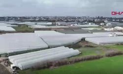 Antalya'da Zarar Gören Seralarda Hasar Tespit Çalışmaları Yapılıyor