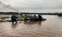 Çaya Düşen 9 Köpek Yavrusu Kurtarıldı