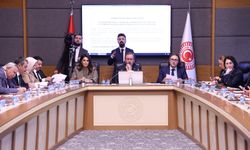 TBMM'de Suça Sürüklenen Çocuklara İlişkin Araştırma Komisyonu toplandı