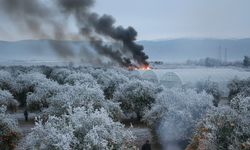 Mersin’de "Zemheri" Alarmı: Çiftçinin Zirai Donla İmtihanı Başlıyor
