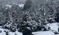 Mersin’in Yüksek Kesimlerinde Kar Sevinci Başladı