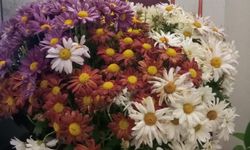 Mersin’de 14 Şubat Hazırlığı Başlıyor