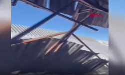 Kar Yağışı Hayatı Olumsuz Etkiledi: Ahır ve Sera Çöktü