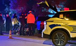 Bursa'da Otomobil Zeytin Ağacına Çarptı