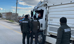 Mut Ormanlarında Güvenlik Taraması: Suç Önleme Arama Operasyonu