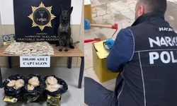 Zeytinyağı Tenekelerine Gizlenmiş 100 Bin Uyuşturucu Hap