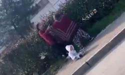 İki kadın dilencinin yanlarındaki bebeğe rağmen yer kavgası kamerada