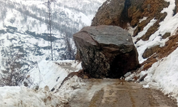 Bitlis’in İki İlçesinde Heyelan Nedeniyle Köy Yolları Ulaşıma Kapandı
