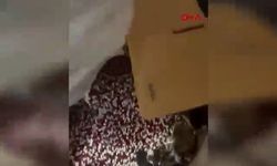 İzmir Polisi 104 Bin Adet Sentetik Uyuşturucu Yakaladı