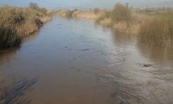 Aydın’da Sağanak Sonrası Büyük Menderes Taştı