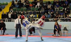 Okul Sporları Taekwondo Yıldızlar İl Birinciliği Müsabakaları Tamamlandı