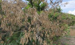 Mersin’de sıcaklıklar 4 derecenin altına düşecek